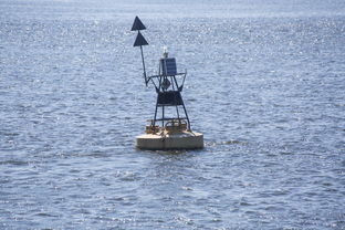 开云体育登录网站入口-中方蝶泳入水角度更锐利？图解数据分析，中国蝶泳厉害吗