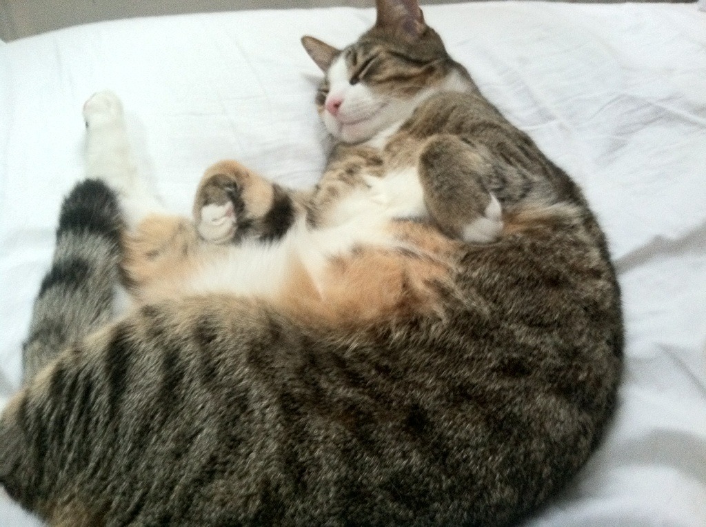 开云体育登录网站入口-五大联赛是否形成非对称控球结构对抗密集防守,非五大联赛球星