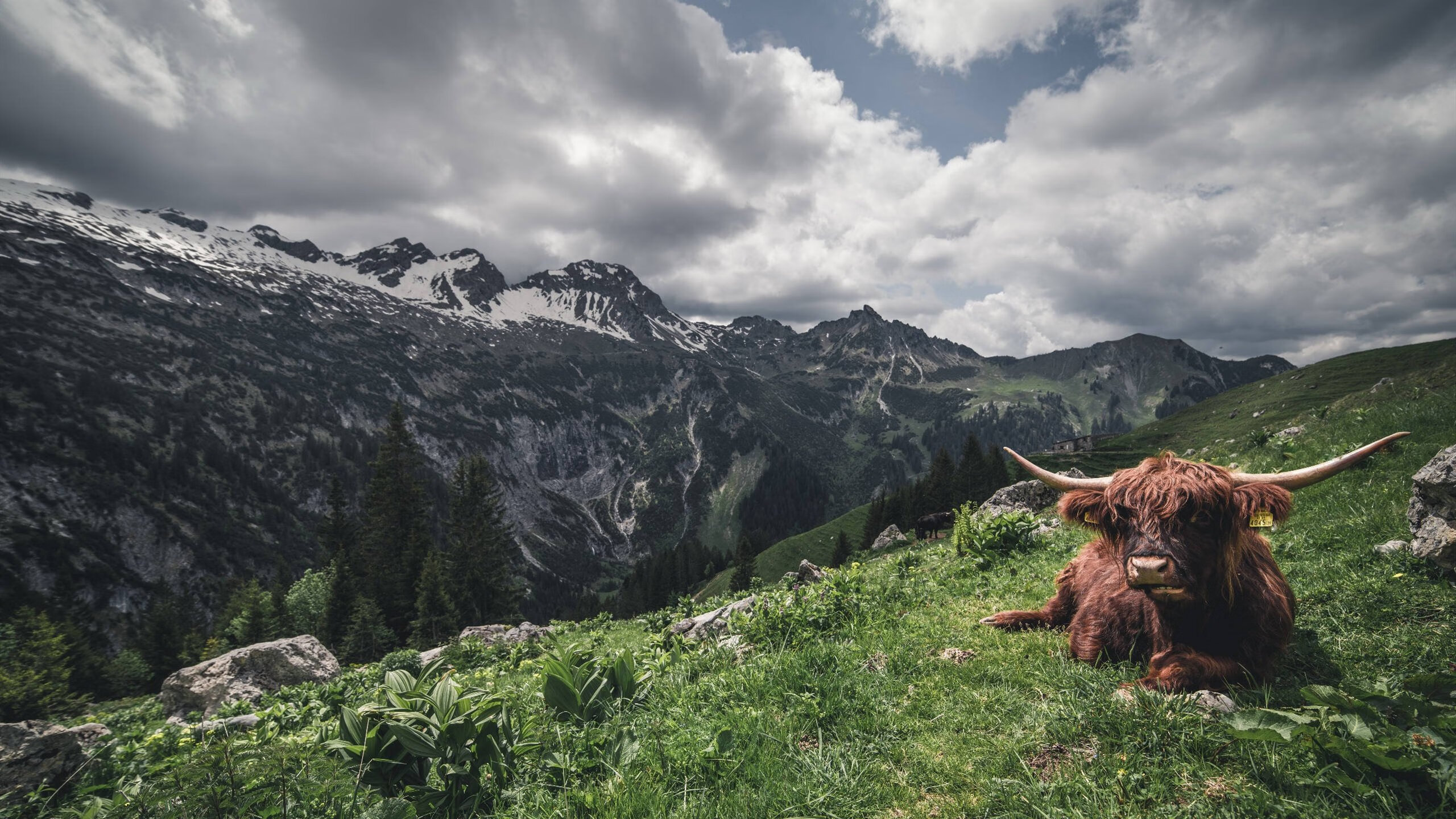 开云体育APP下载-团体赛制：澳大利亚队如何利用团队协作增强比赛优势，atp澳大利亚