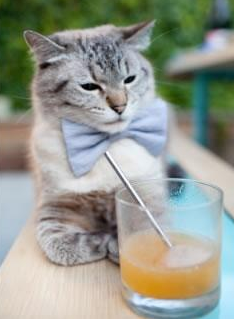 开云网页版登录入口-外援引入背后缺乏技术规划考量,外援项目