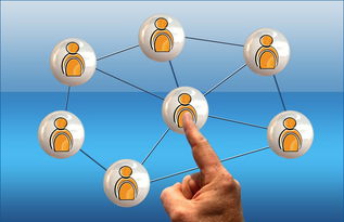 kaiyun中国官方网站-德国队与国际乒联混合团体世界杯赛制的互动与挑战，德国队乒乓