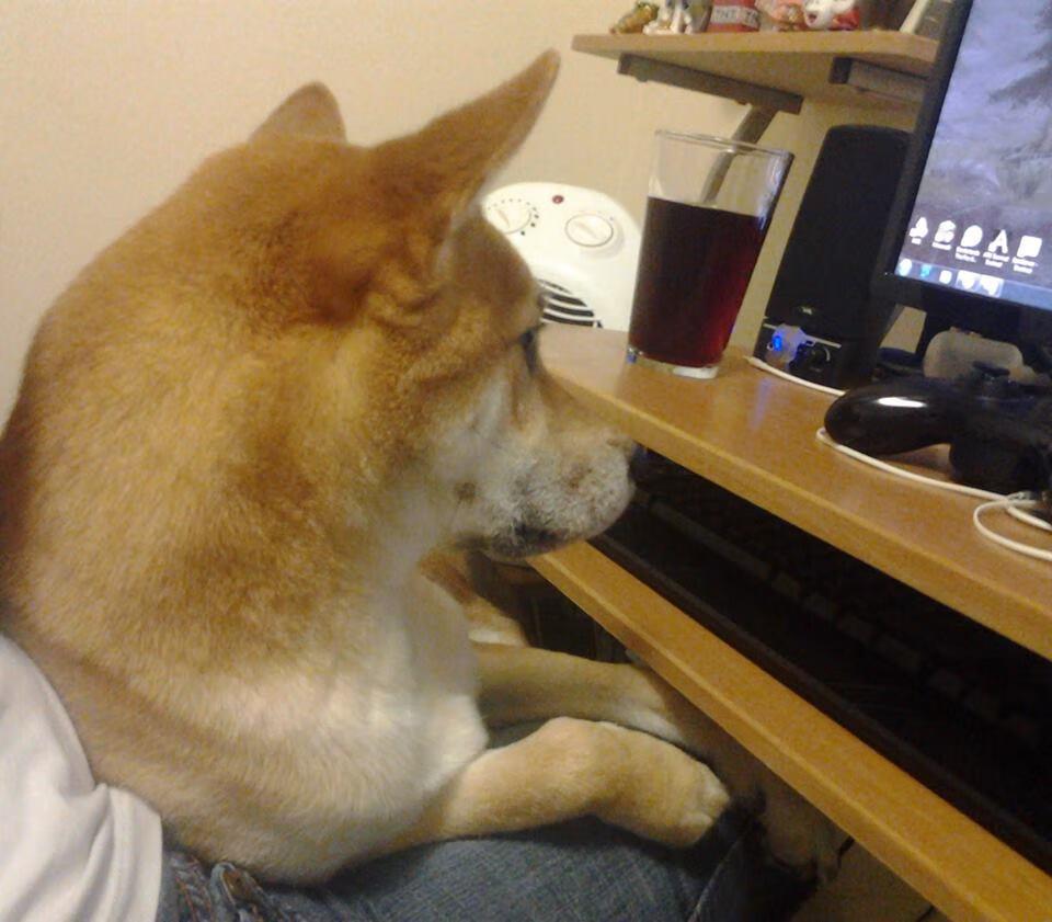 Kaiyun APP-查尔莫斯领跑100自预赛，查尔莫斯防守怎么样