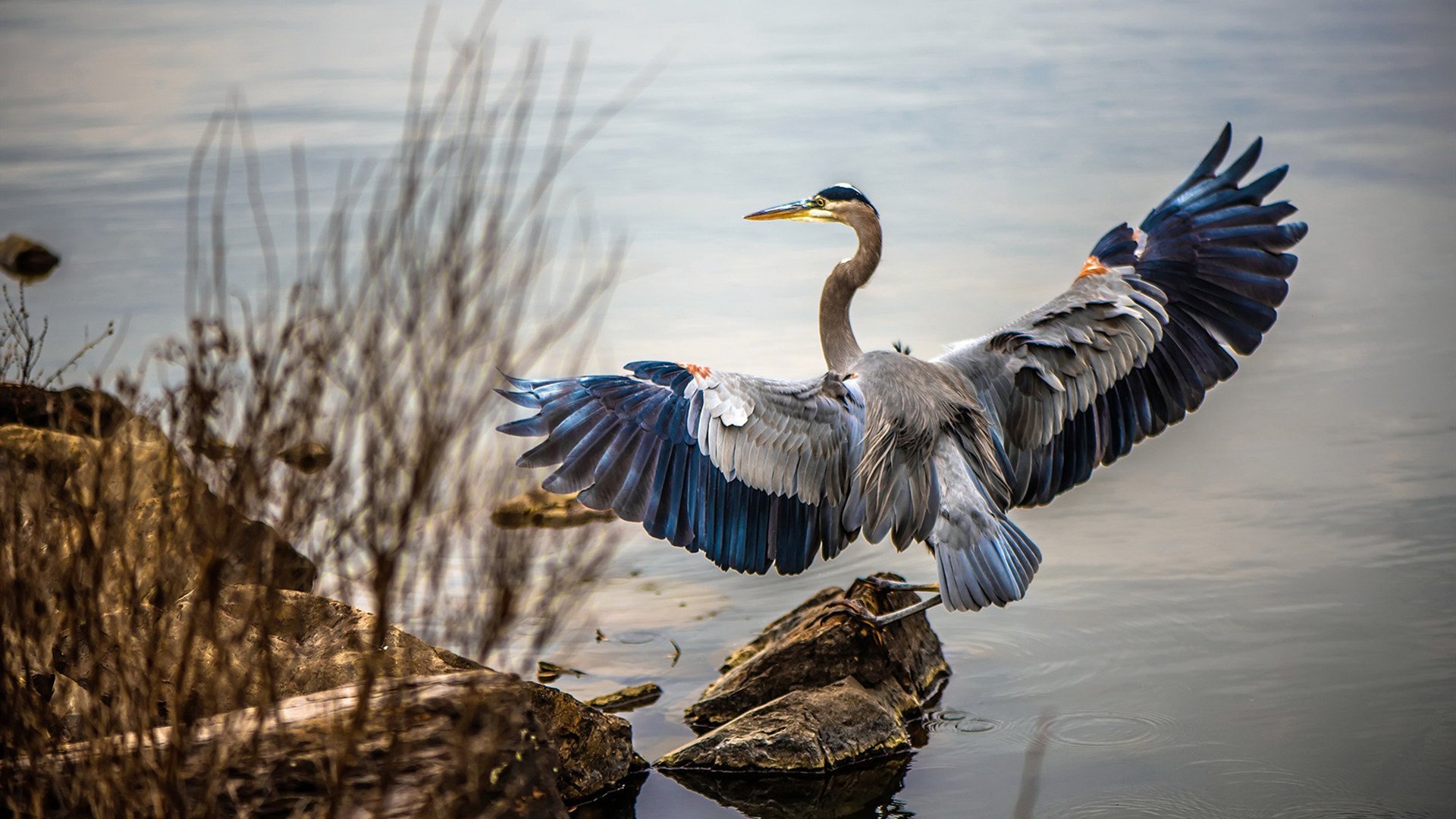 开yun官网-王者荣耀版本热议话题不断玩家分歧明显,王者荣耀新版本理解
