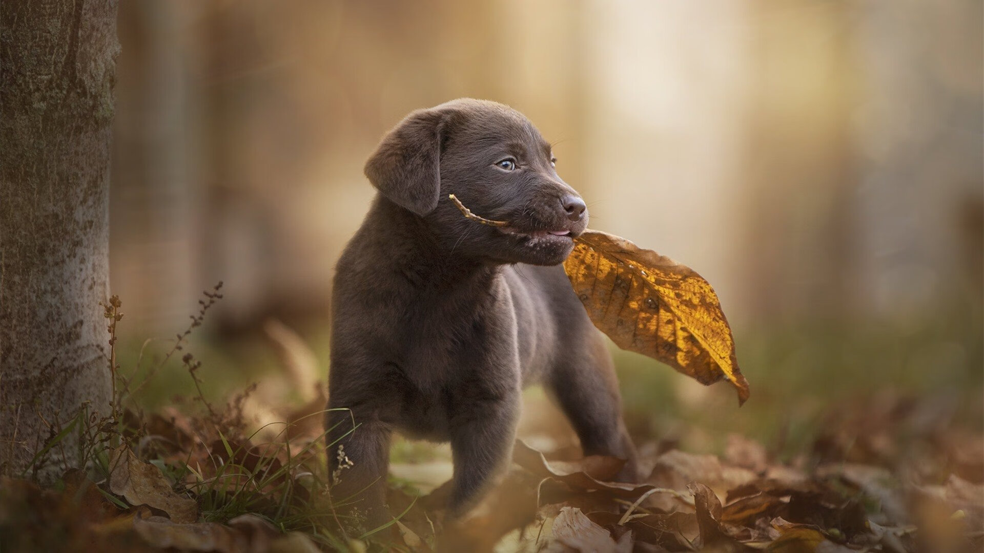 开云体育下载官网-球队在节奏混乱中是否更需依赖经验型球员,球队在节奏混乱中是否更需依赖经验型球员