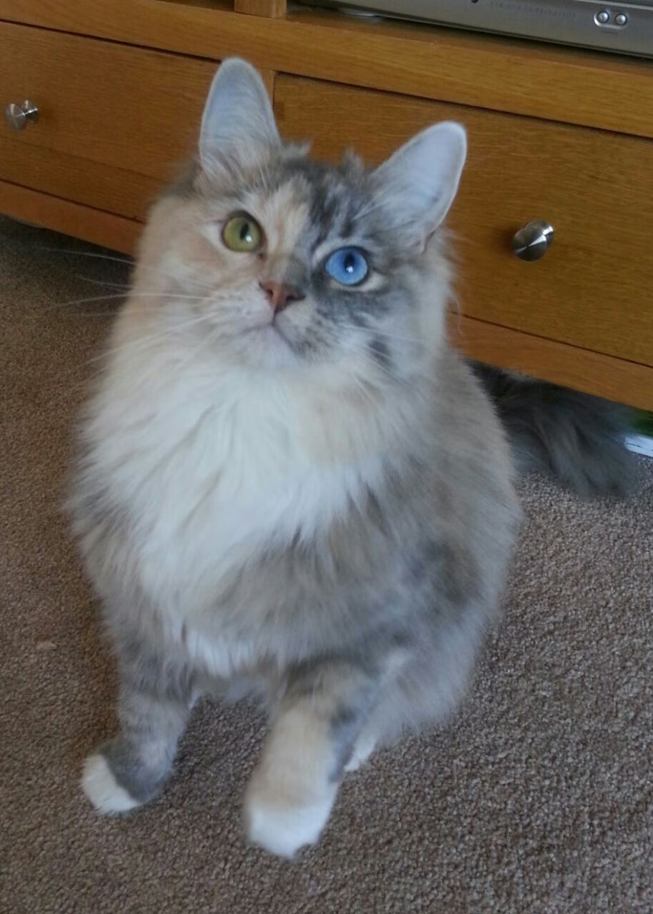 Kaiyun(中国)开云-联赛伤病多发是否影响排名波动与阵容稳定性,五大联赛伤病