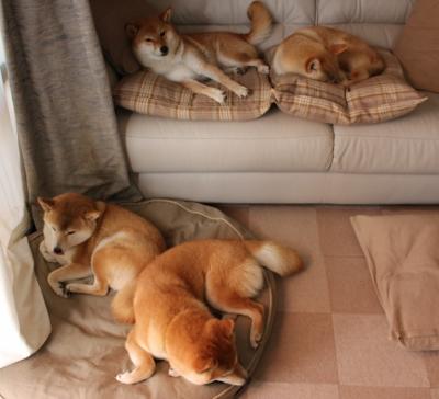 kaiyun中国官方网站-“尼古拉斯·桑特基的精确传球与战术视野,为阿根廷美洲狮队带来优势”