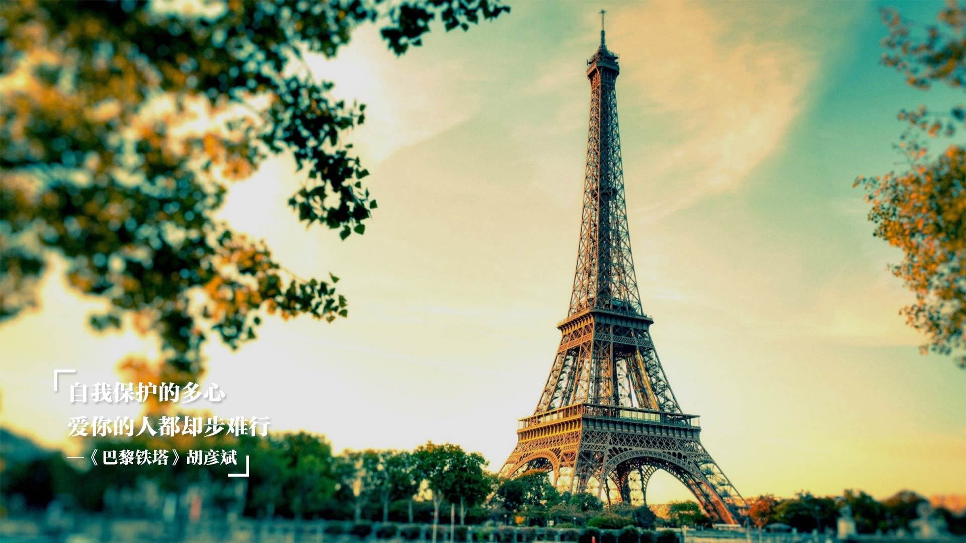 开云网页-世界杯最美瞬间:技巧与智慧完美交融,世界杯激动人心时刻