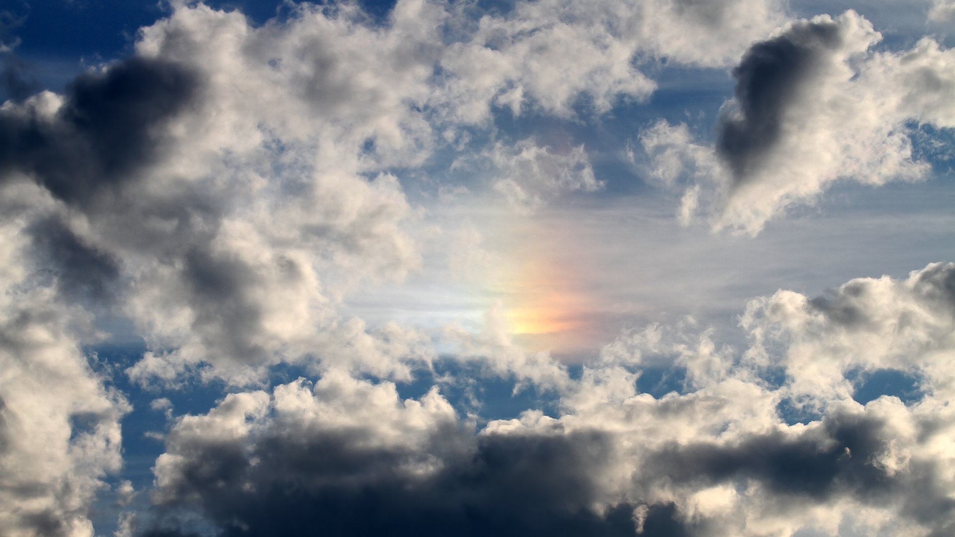 开云体育官方下载-中国男篮明确备战周期制定长期发展规划,男篮 规划