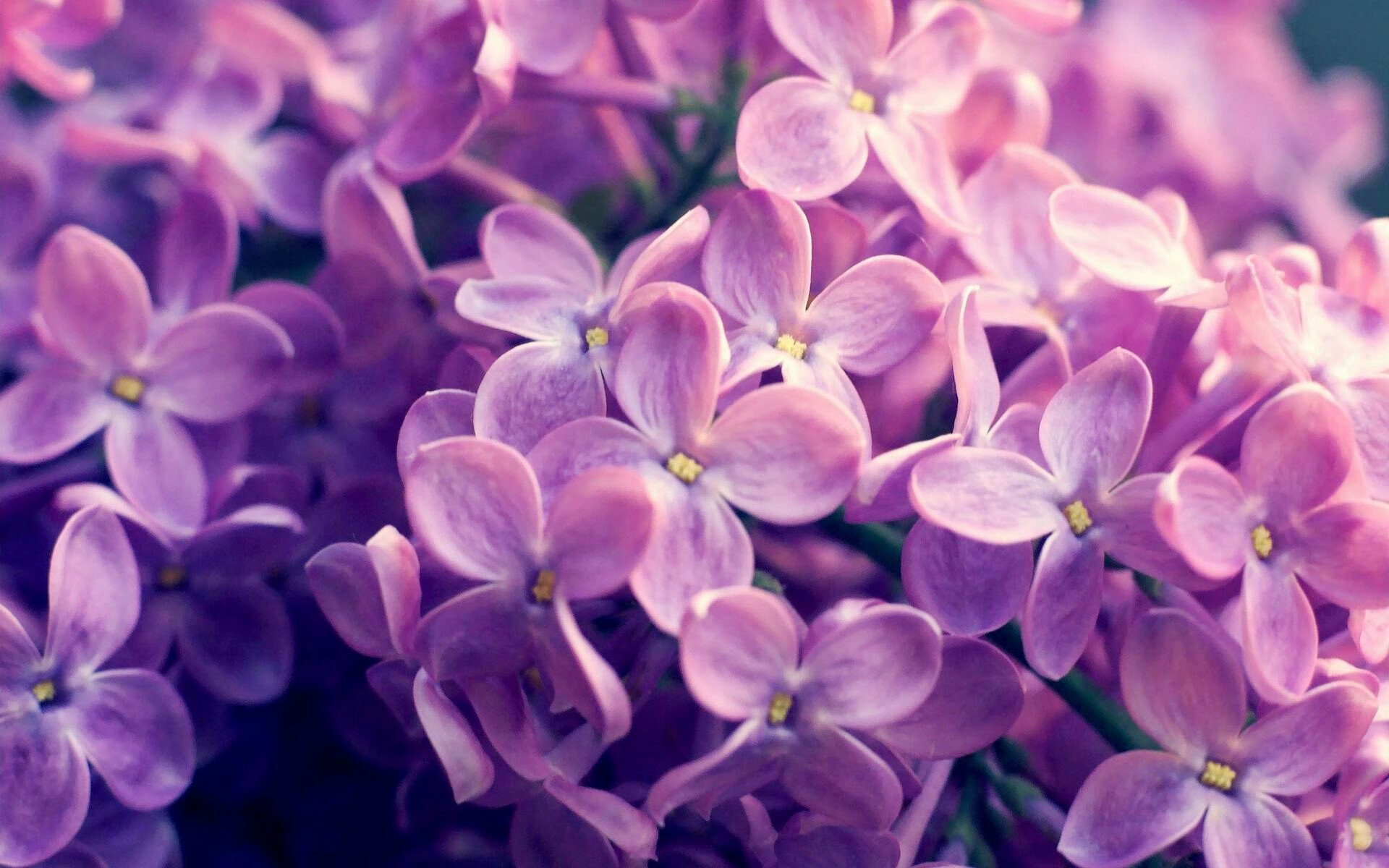 开云下载-决赛亮点:梅尔滕斯与对手胶着对抗,网球梅尔滕斯身高