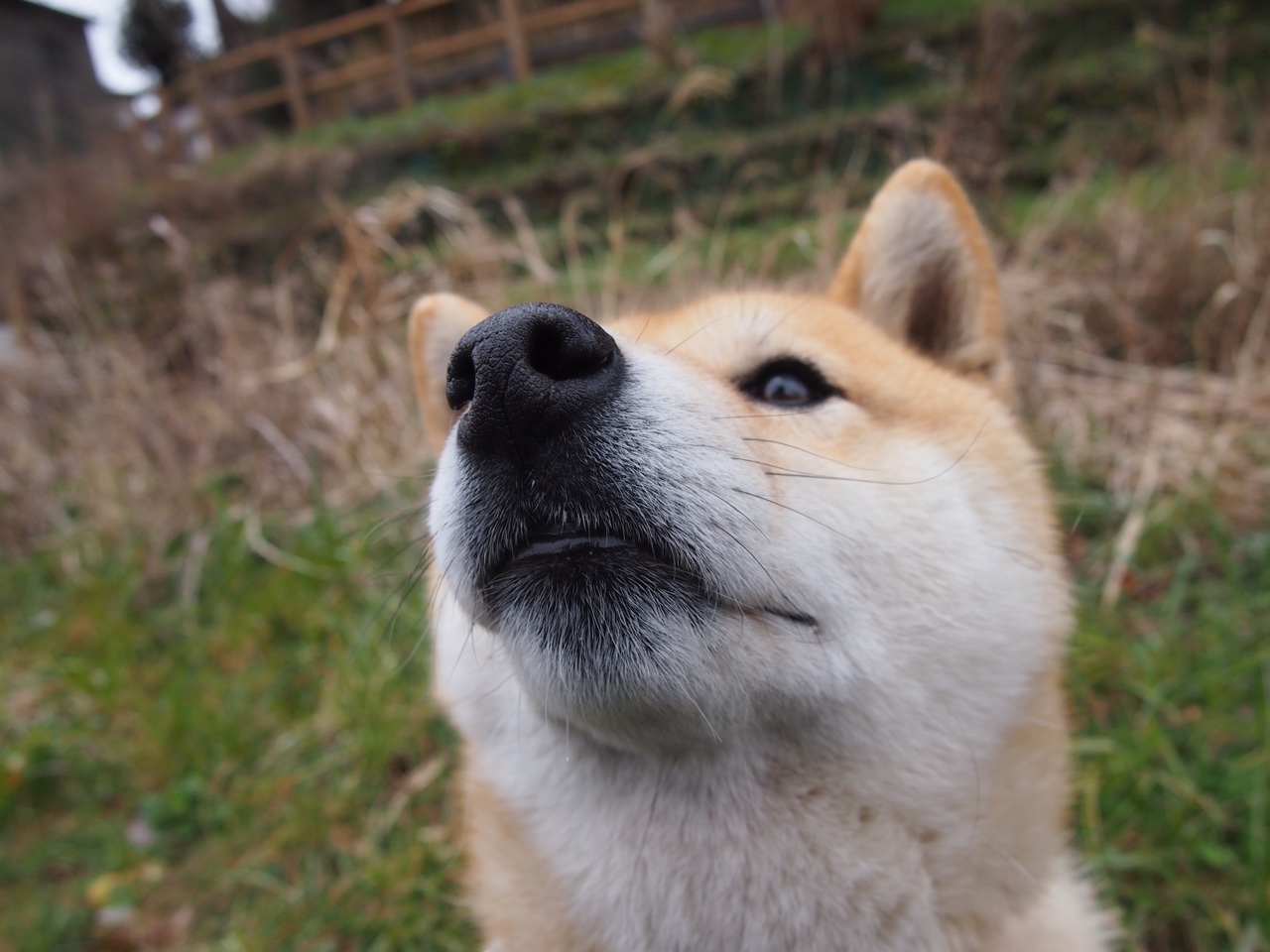 开云注册-全黑队依靠精准的传球和不断突破,取得优势,全黑队服