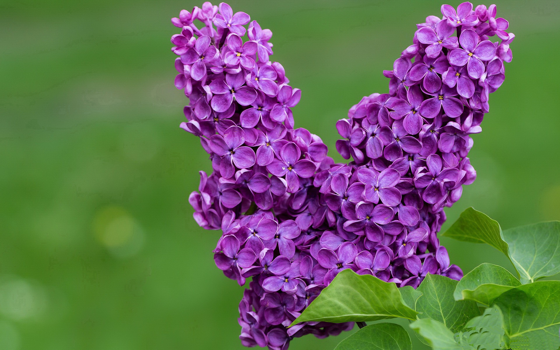 开云kaiyun-凯琳·科贝特赛场表现引发媒体热议,凯特琳菲贝尔和科比